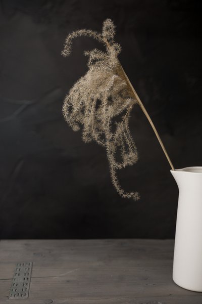 Jarra blanca con hierba de la pampa de Mayra Pama
