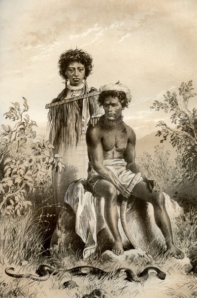 Maoríes y serpiente alfombra, Nueva Zelanda, 1879 de McFarlane and Erskine