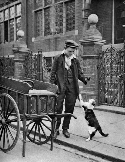 Vendedor de carne de gato, Londres, 1926-1927 de McLeish