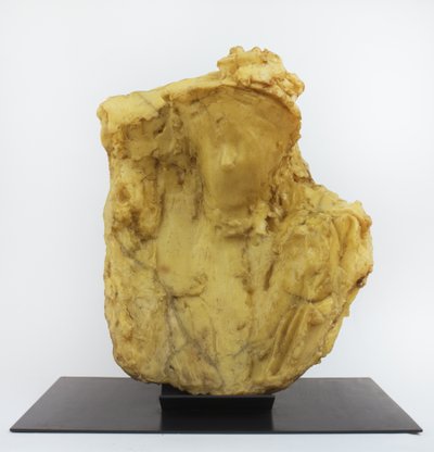 Dama a la voilette de Medardo Rosso