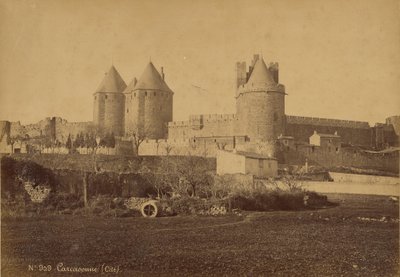Carcasona de Mederic Mieusement