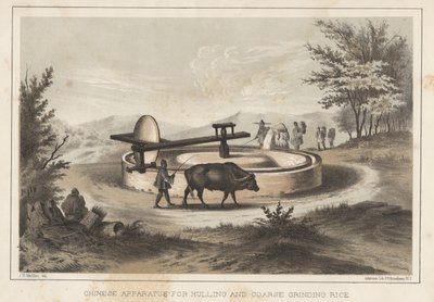 Aparato chino para descascarillar y moler arroz, 1855 de Meffert