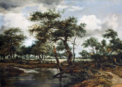 Un estanque en el bosque, 1668 de Meindert Hobbema