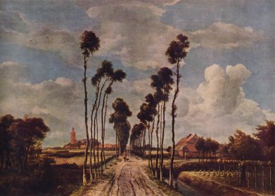La Avenida en Middelharnis, 1689 de Meindert Hobbema