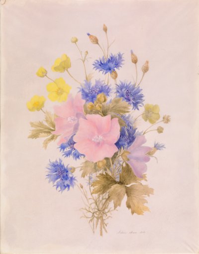 flores de campo de Melanie Marc