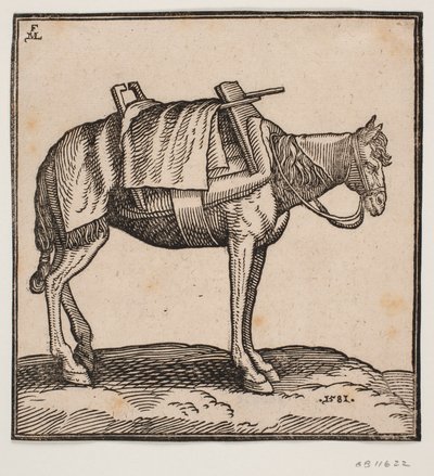 Un caballo de carga ensillado de Melchior Lorck