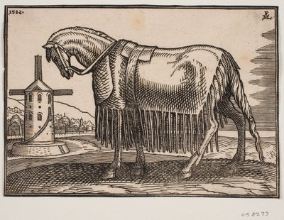 Caballo cubierto con manta, perfil hacia la izquierda de Melchior Lorck