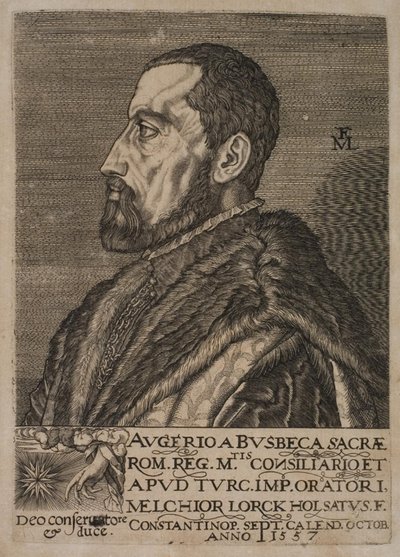 Retrato de Ogier Ghiselin de Busbecq, enviado imperial de Melchior Lorck