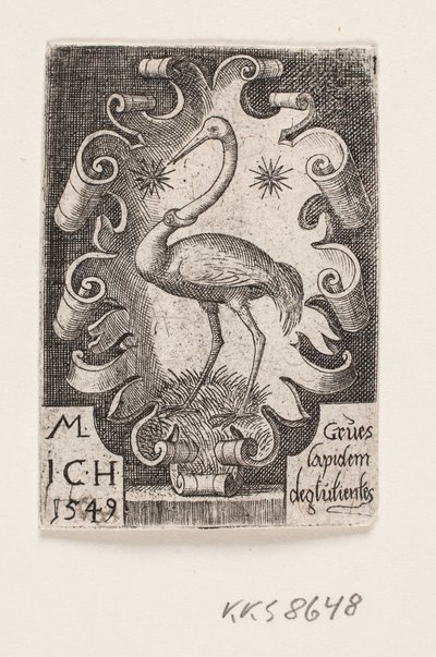 La grulla de Melchior Lorck