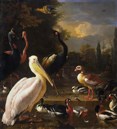 Un pelícano y otras aves cerca de un estanque, conocido como "La pluma flotante de Melchior d