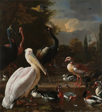 Un pelícano y otras aves junto a una fuente, conocido como 