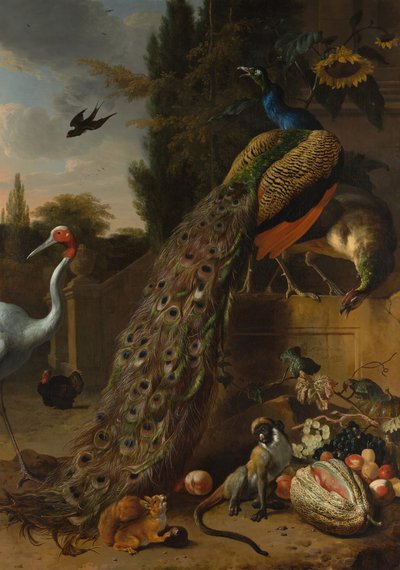 Pavos reales, 1683 de Melchior d