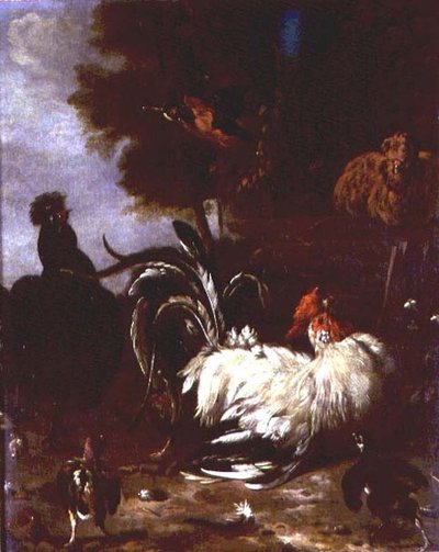 Gallo y otras aves de corral en un paisaje boscoso de Melchior de (follower of) Hondecoeter