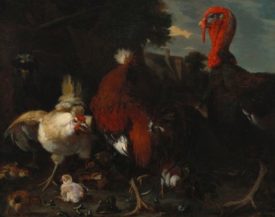 Una gallina, un gallo y un pavo en un corral de Melchior de Hondecoeter
