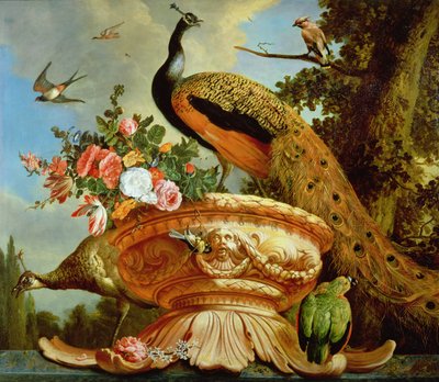 Un pavo real en una urna decorativa de Melchior de Hondecoeter