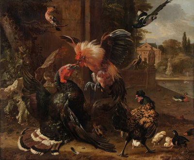 Un gallo y un pavo peleando, c. 1680 de Melchior de Hondecoeter