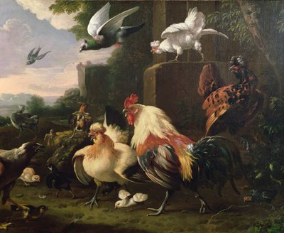Un gallo y otras aves en un paisaje de Melchior de Hondecoeter