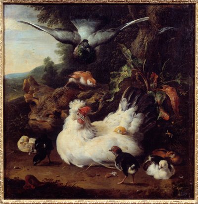 Una gallina y sus polluelos de Melchior de Hondecoeter