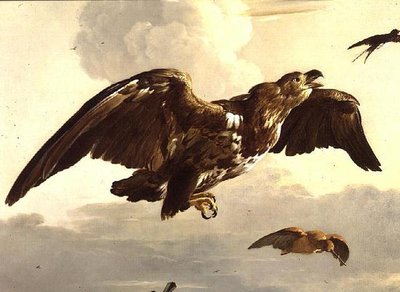 Un águila y una golondrina en vuelo de Melchior de Hondecoeter