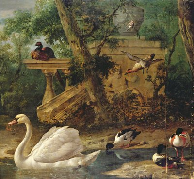 Pájaros en un jardín (óleo sobre lienzo) de Melchior de Hondecoeter