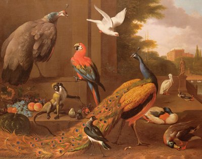 Aves en un paisaje de Melchior de Hondecoeter