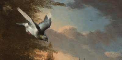 (detalle) de Menagerie de Melchior de Hondecoeter