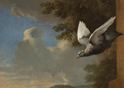 (detalle) de Menagerie de Melchior de Hondecoeter