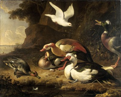  de Melchior de Hondecoeter
