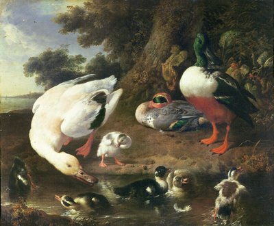 Patos de corral de Melchior de Hondecoeter