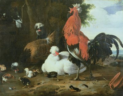 Aves de Corral con Palomas de Melchior de Hondecoeter