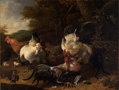  de Melchior de Hondecoeter