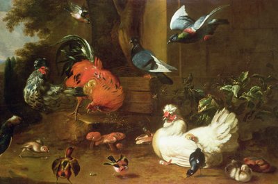 Aves de corral en el parque de Melchior de Hondecoeter