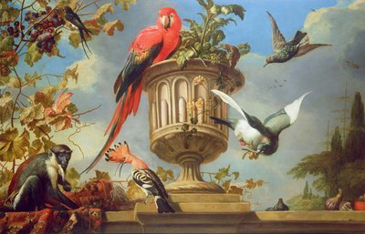 Guacamayo escarlata posado en una urna, con otros pájaros y un mono comiendo uvas de Melchior de Hondecoeter