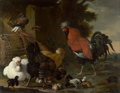 Un gallo, gallinas y pollitos de Melchior de Hondecoeter
