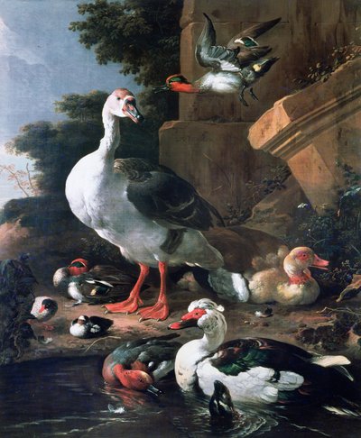 Aves acuáticas en un paisaje clásico, siglo XVII de Melchior de Hondecoeter