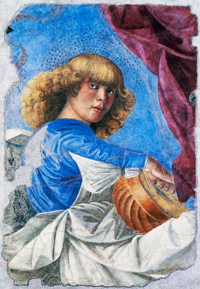 Ángel tocando laúd, 1480, fresco de Melozzo da Forli, fresco desprendido de la Ascensión de Cristo, Italia de Melozzo da Forli