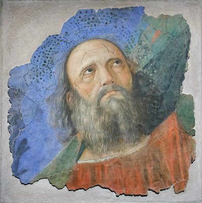Cabeza de apóstol, c.1480 (fresco) de Melozzo da Forli