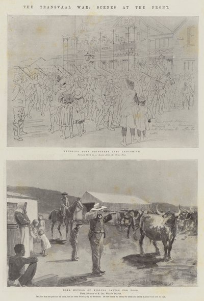 La Guerra del Transvaal, Escenas en el Frente de Melton Prior