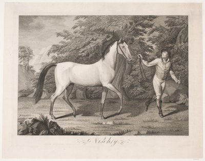 El caballo "Hesten Nischty" de Meno Haas