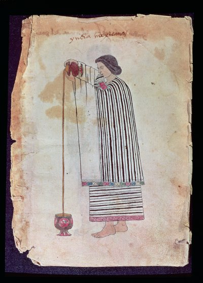 Indio Mexicano Preparando Chocolate, del Códice Tudela, 1553 de Mexican School
