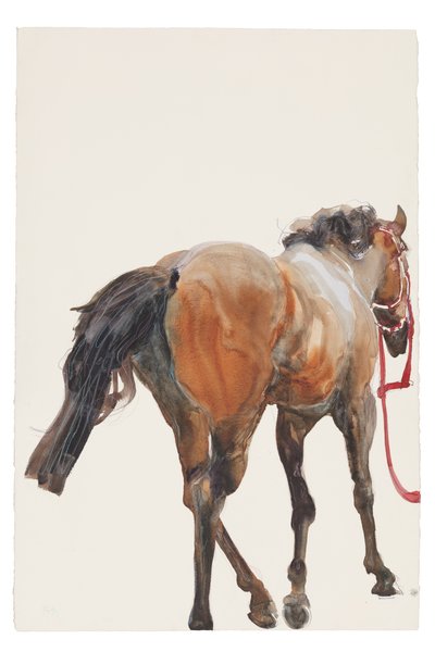 Sin título, 2018 (acuarela sobre papel) de Michael Frith
