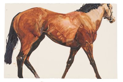 Sin título, 2018 (acuarela sobre papel) de Michael Frith