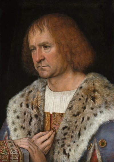 Retrato de Diego de Guevara, ca. 1515-1518 de Michael Sittow