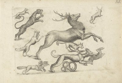 Hoja de estudio con ejemplos de dibujos: varios animales de Michael Snijders (attributed to)