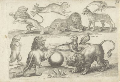 Hoja de estudio de ejemplos de dibujo: varios animales
Ejemplos de dibujos (título de la serie) de Michael Snijders