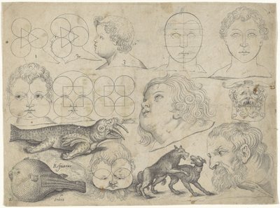 Hoja de estudio con ejemplos de dibujo: figuras, animales
Ejemplos de dibujos (título de la serie) de Michael Snijders