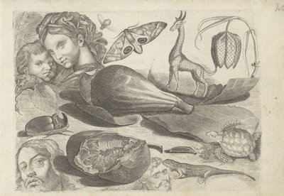 Hoja de estudio con ejemplos de dibujo: cabezas, animales y frutas
Ejemplos de dibujos (título de la serie) de Michael Snijders