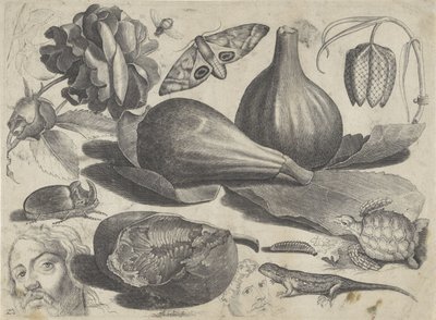 Hoja de estudio con ejemplos de dibujo: cabezas, animales y frutas
Ejemplos de dibujos (título de la serie) de Michael Snijders