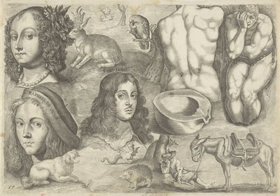 Hoja de estudio con ejemplos de dibujo: cabezas, animales, figuras
Ejemplos de dibujos (título de la serie) de Michael Snijders