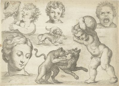 Hoja de estudio con ejemplos de dibujo: cabezas y animales de combate
Ejemplos de dibujos (título de la serie) de Michael Snijders
